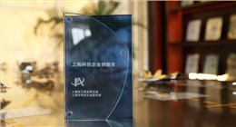 Shanghai Science and Technology Innovation Enterprise